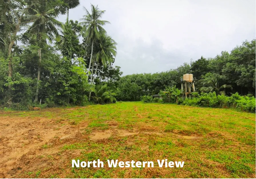 Land 5.5 Rai For Sale In Baan Para, Thalang, Phuket — Thumbnail 4