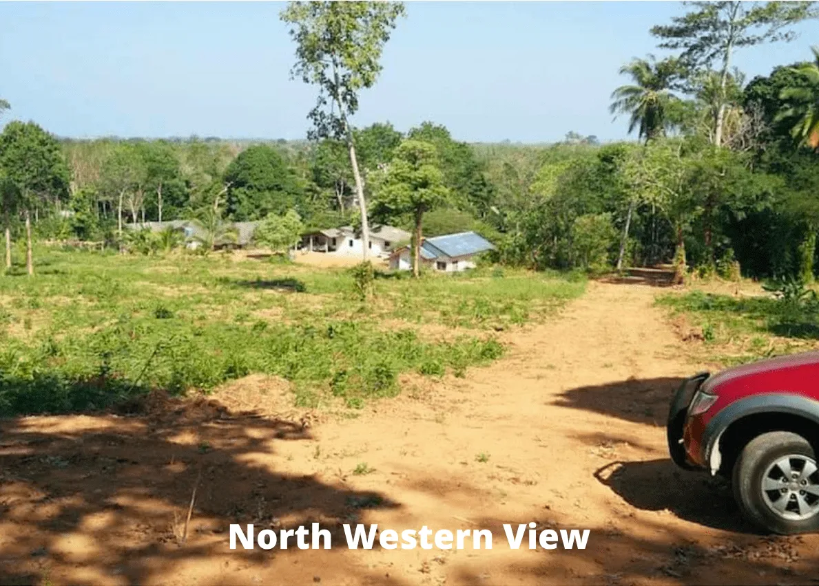 Land 7 Rai For Sale, Mai Khao, Phuket — Thumbnail 4