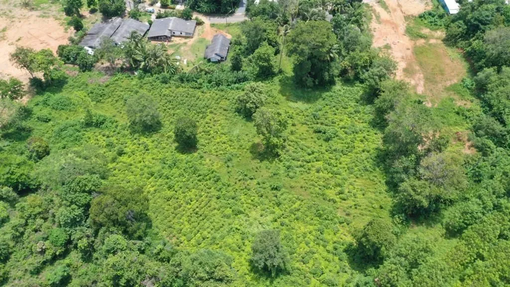 Land 7 Rai For Sale, Mai Khao, Phuket — Thumbnail 9