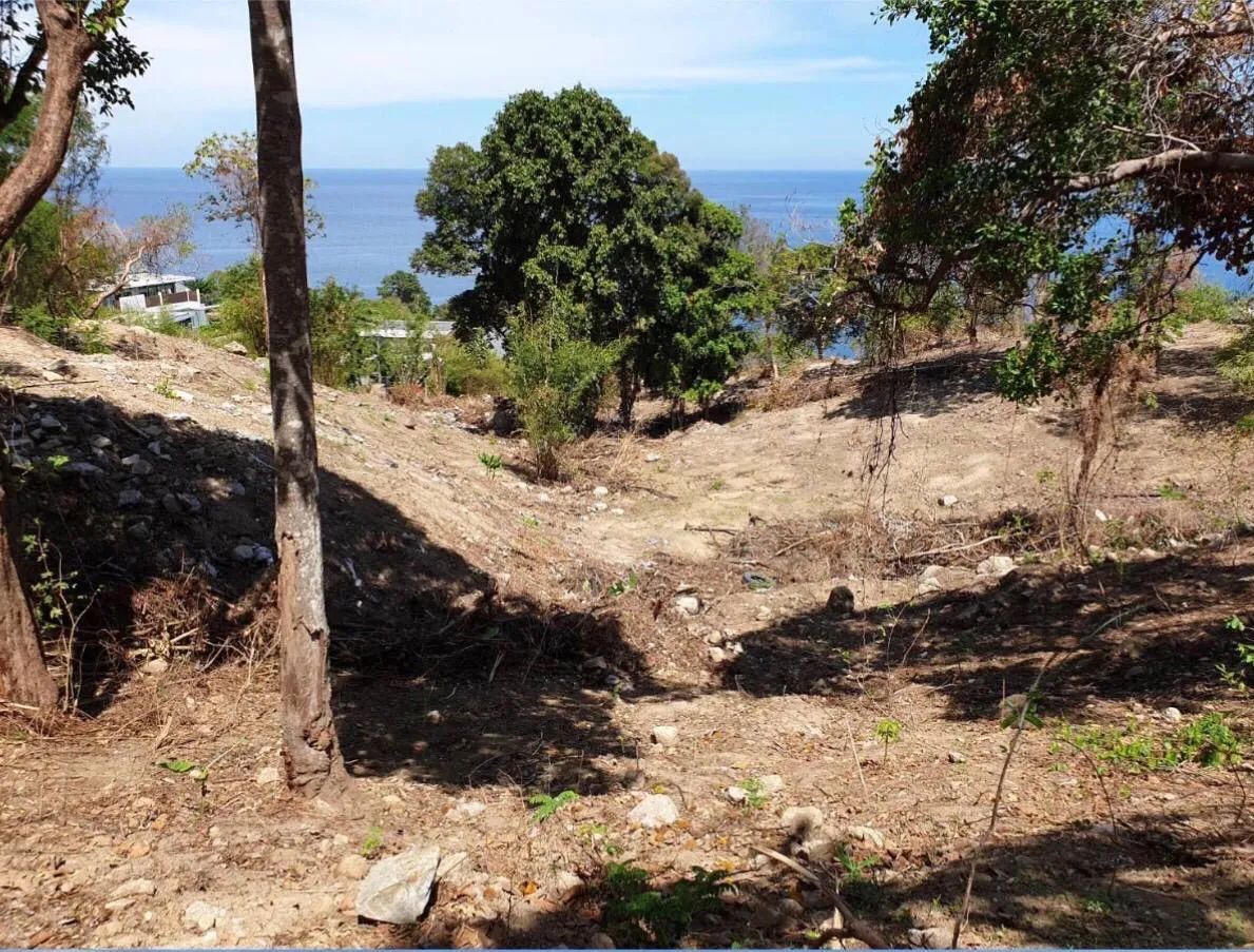 Beach Front Land 20 Rai for sale in Kamala — Thumbnail 5