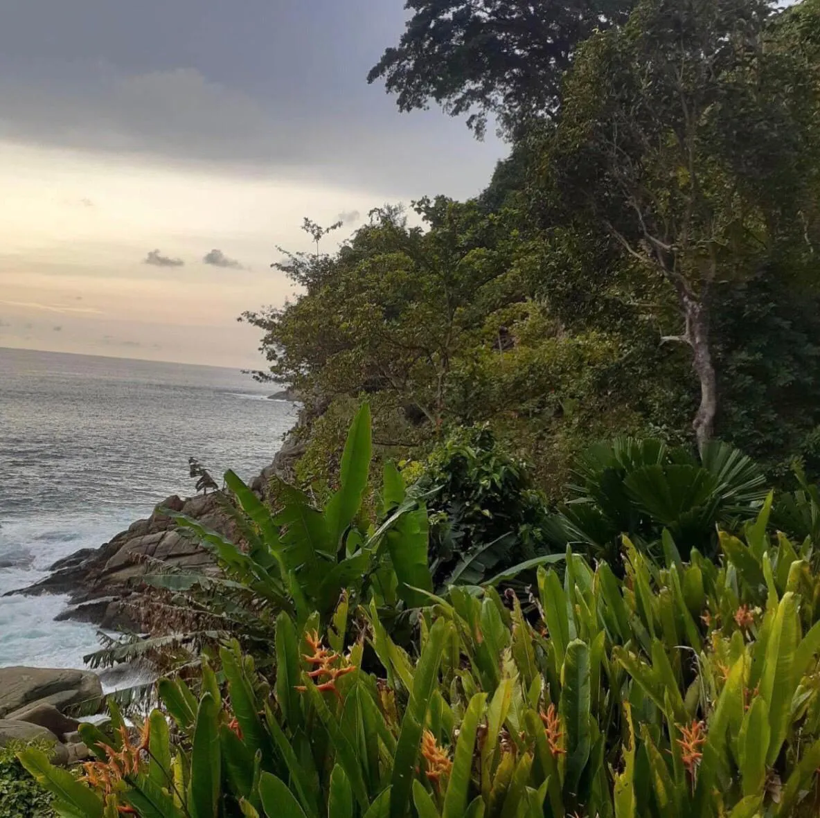 Beach Front Land 20 Rai for sale in Kamala — Thumbnail 7