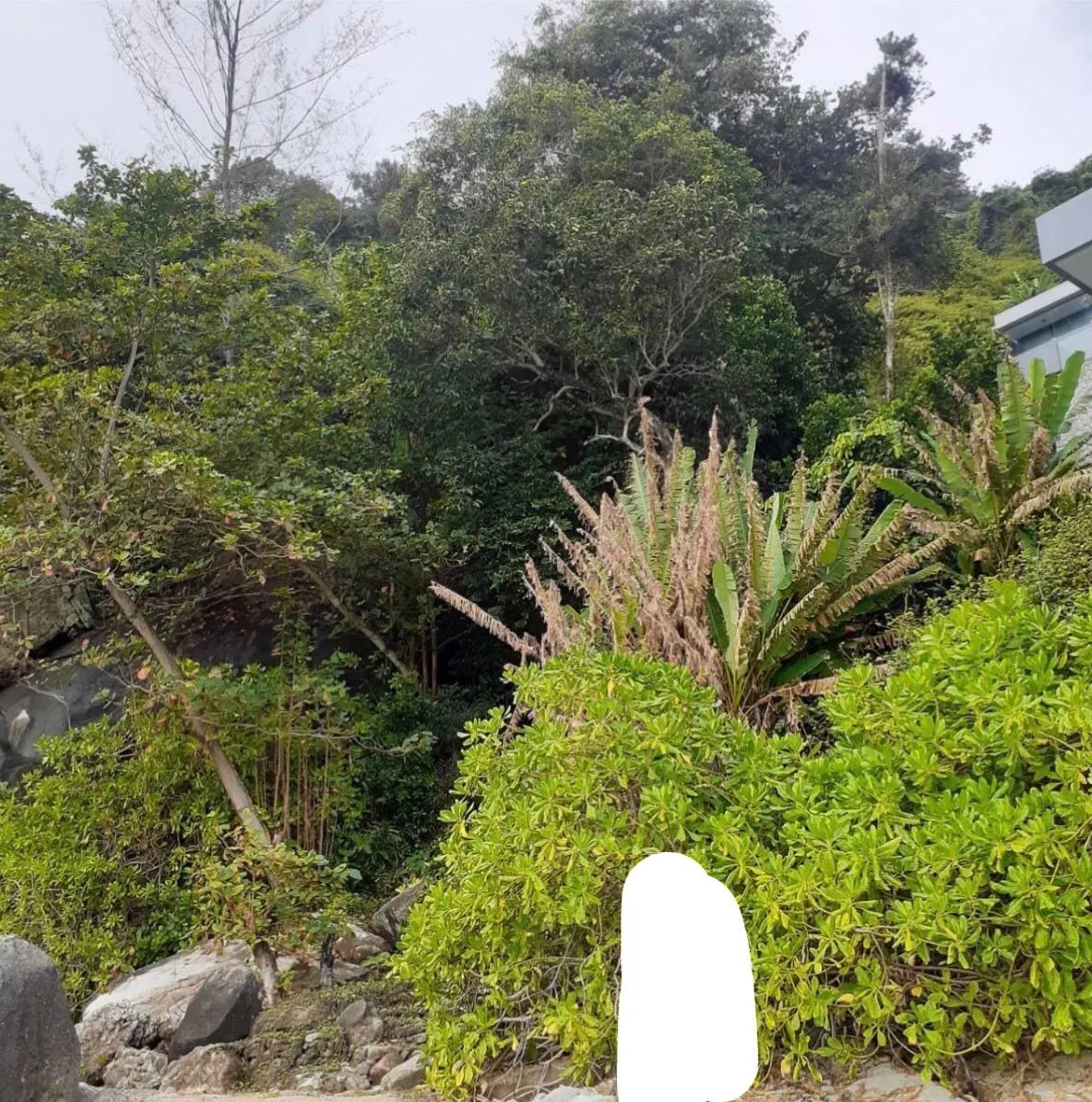 Beach Front Land 20 Rai for sale in Kamala — Thumbnail 9