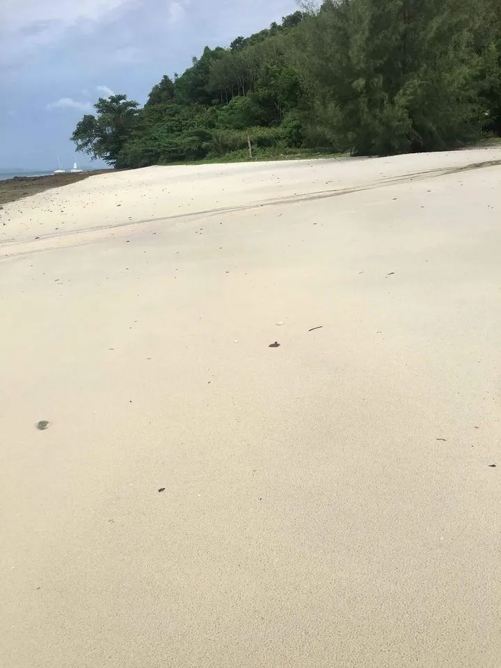 Land 94 Rai Next to Sandy Beach For Sale At Naka Yai Island Phuket — Thumbnail 3
