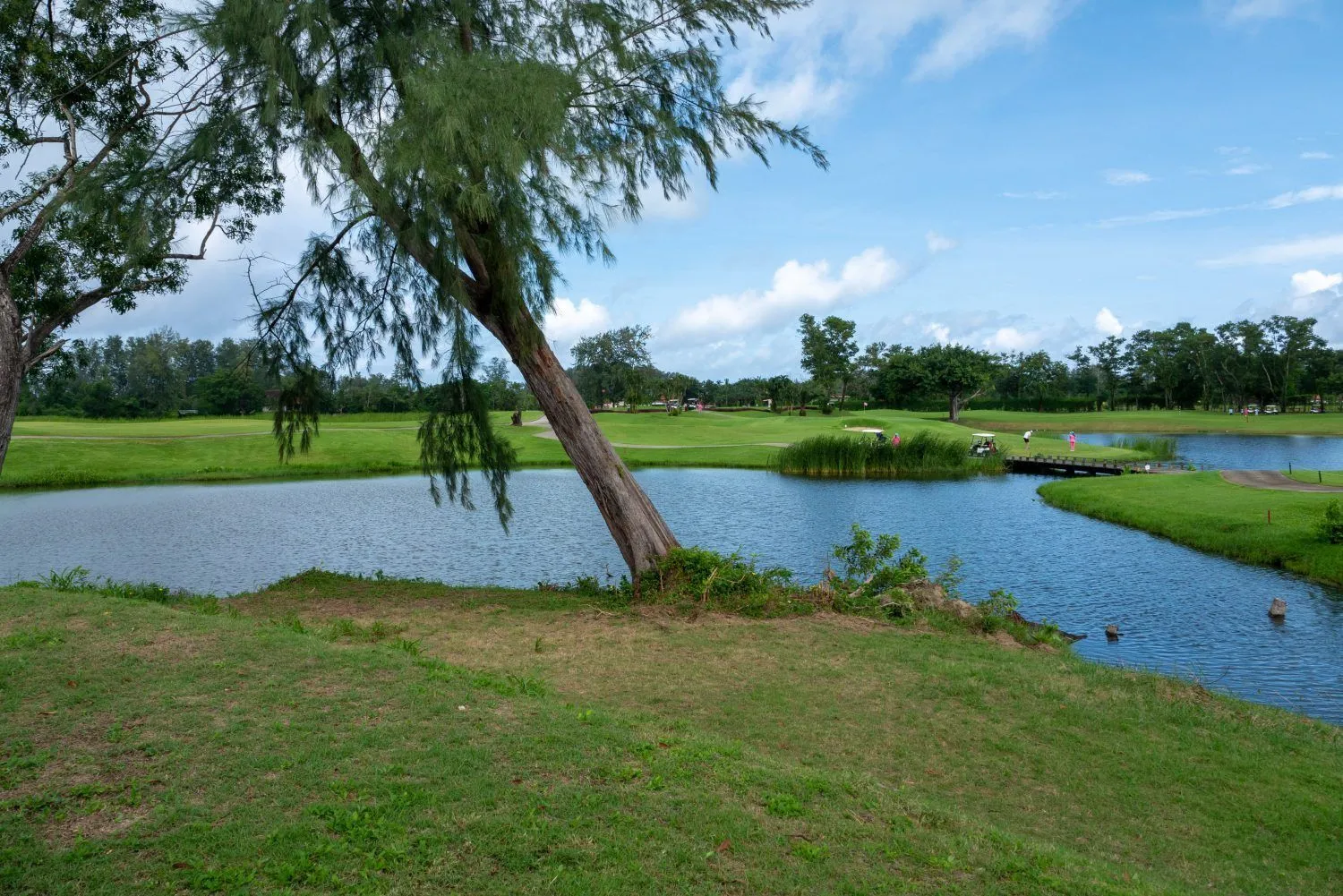 Laguna Links Luxury Villa for Sale in Prestigious Phuket Location – SC19102401 — Thumbnail 5