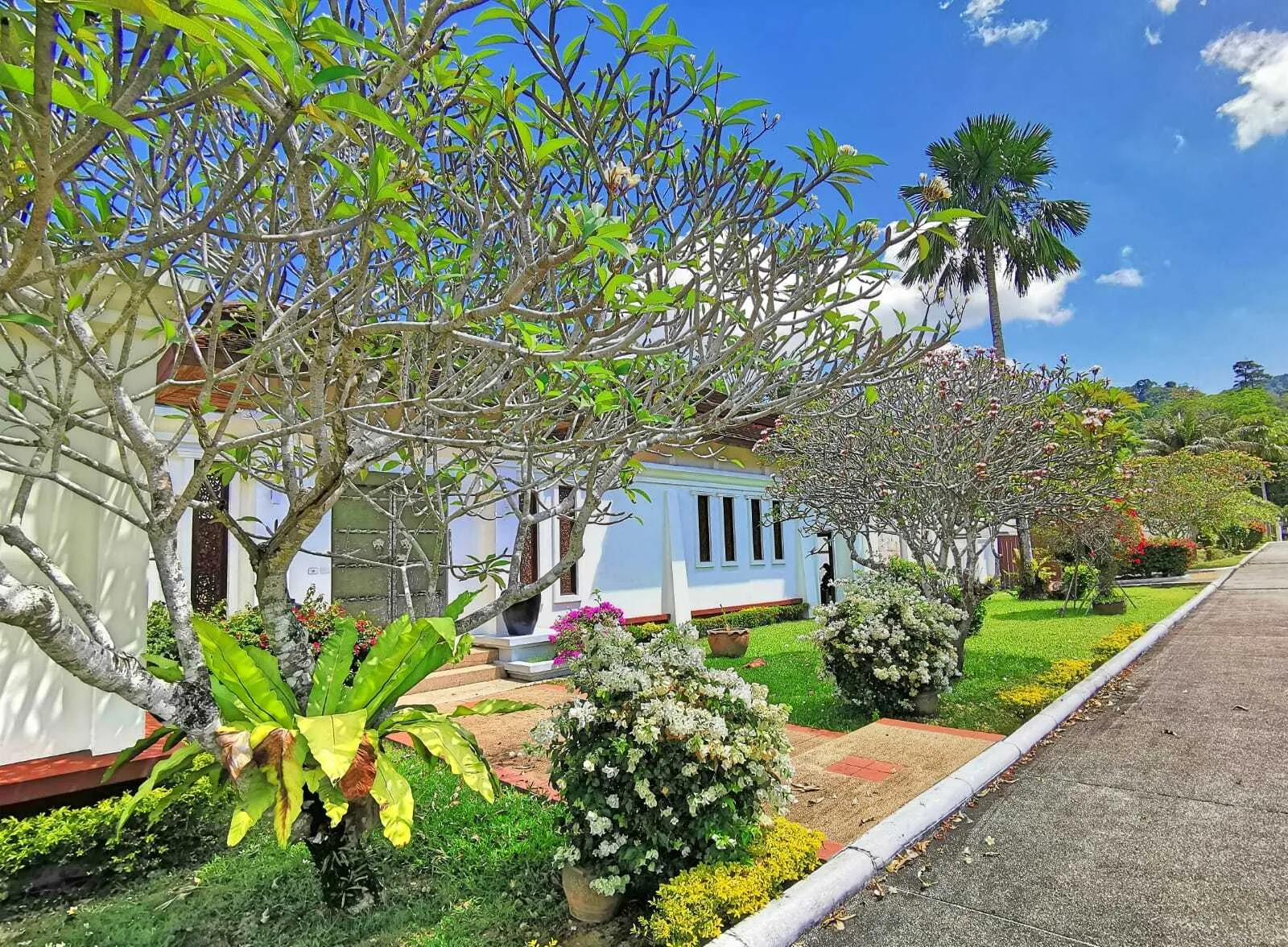 Spacious 7-Bedroom Villa with Private Pool and Large Garden in Thalang — Thumbnail 19