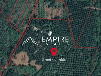 Land for Sale 44 rai in Tai Muang, Phang Nga
