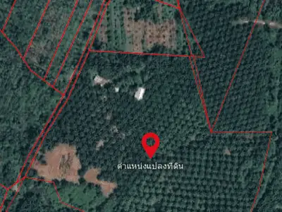 Land for Sale 44 rai in Tai Muang, Phang Nga