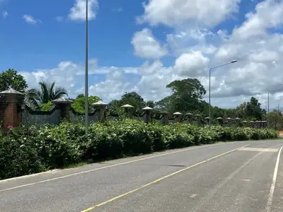 Land For Sale near Robinson Shopping Mall Thalang