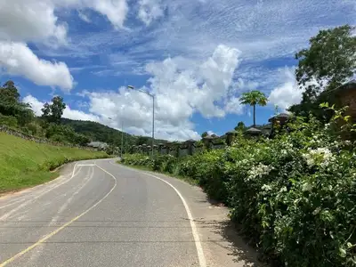 Land For Sale near Robinson Shopping Mall Thalang