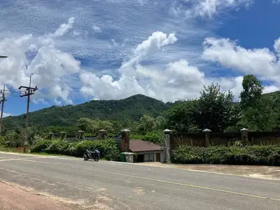 Land For Sale near Robinson Shopping Mall Thalang