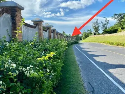 Land For Sale near Robinson Shopping Mall Thalang