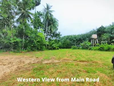 Land 5.5 Rai For Sale In Baan Para, Thalang, Phuket