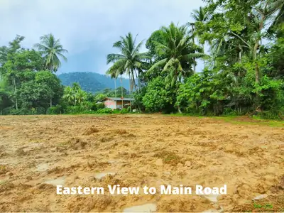 Land 5.5 Rai For Sale In Baan Para, Thalang, Phuket