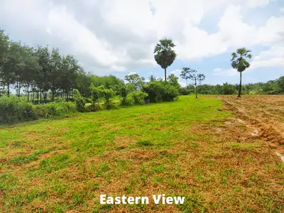 Land 5.5 Rai For Sale In Baan Para, Thalang, Phuket