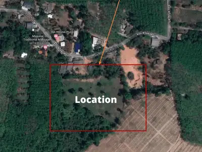 Land 7 Rai For Sale, Mai Khao, Phuket