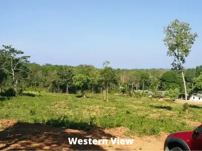 Land 7 Rai For Sale, Mai Khao, Phuket