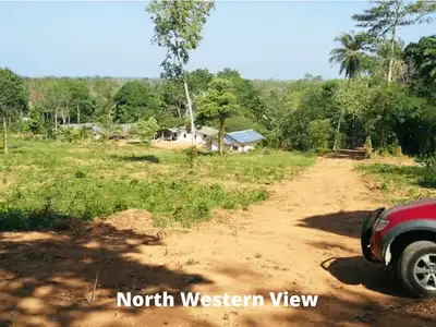 Land 7 Rai For Sale, Mai Khao, Phuket