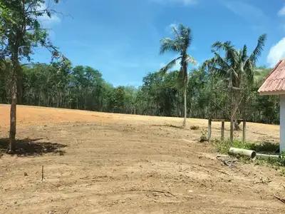 Land 7 Rai For Sale, Mai Khao, Phuket