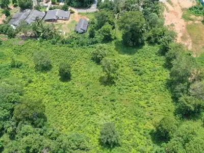 Land 7 Rai For Sale, Mai Khao, Phuket