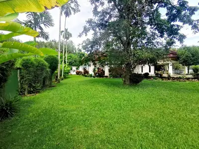 Large garden 5 bedrooms villa for rent in Thalang