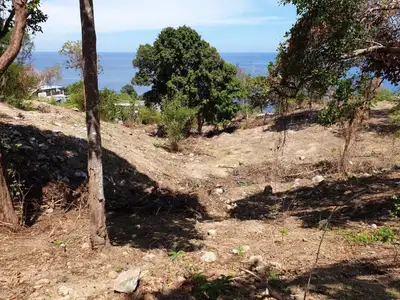 Beach Front Land 20 Rai for sale in Kamala