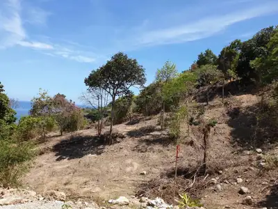 Beach Front Land 20 Rai for sale in Kamala