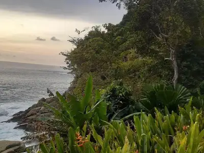 Beach Front Land 20 Rai for sale in Kamala
