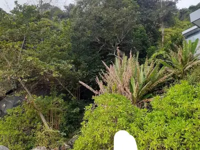 Beach Front Land 20 Rai for sale in Kamala