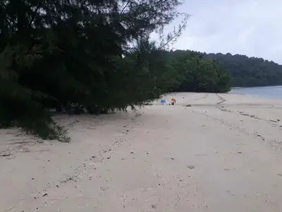 Land 94 Rai Next to Sandy Beach For Sale At Naka Yai Island Phuket