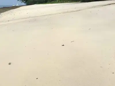 Land 94 Rai Next to Sandy Beach For Sale At Naka Yai Island Phuket