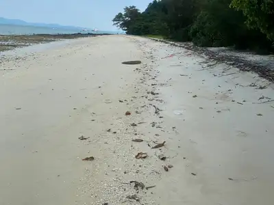 Land 94 Rai Next to Sandy Beach For Sale At Naka Yai Island Phuket