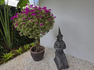 Modern 3-Bedroom Pool Villa for Sale Near Layan Beach – Phuket